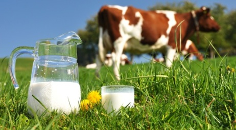 Organic milk